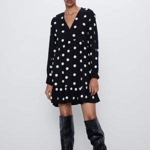 Zara embroidered Polka Dress New